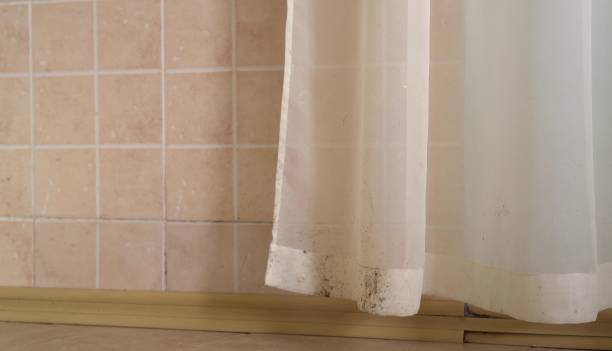 Best Emergency Mold Remediation  in Sunbury, PA